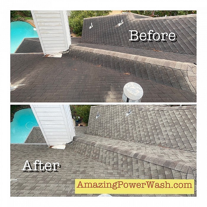 Shingle roof - before & after soft wash